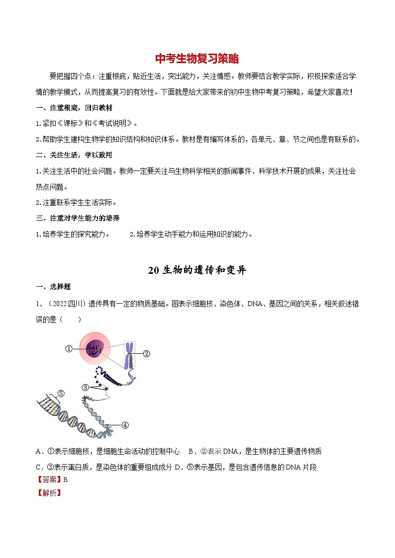 最新中考生物一轮复习课件+讲练测  专题20 生物的遗传和变异（专题精练）01