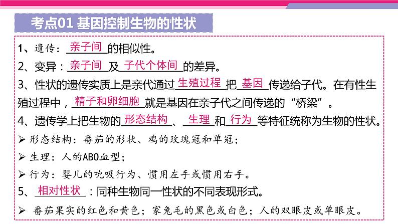 最新中考生物一轮复习课件+讲练测  专题20 生物的遗传和变异（专题精练）08