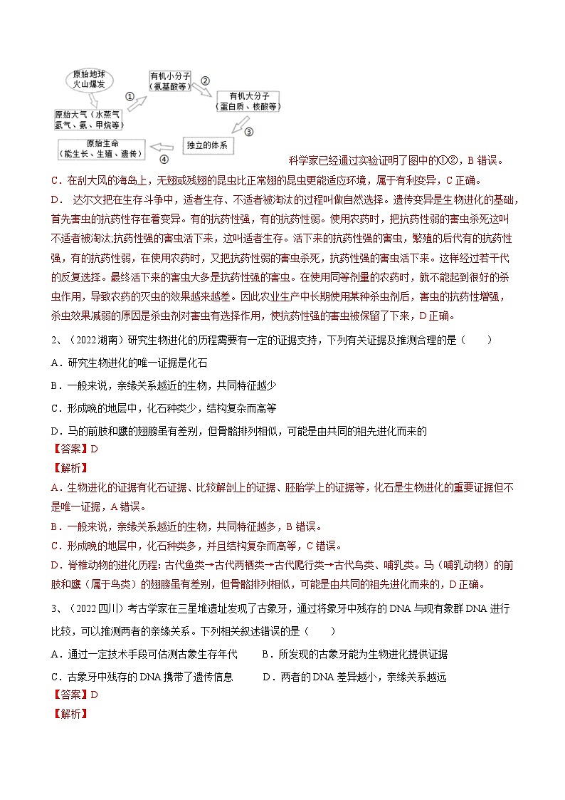 最新中考生物一轮复习课件+讲练测  专题21 生命起源和生物进化（专题精练）02