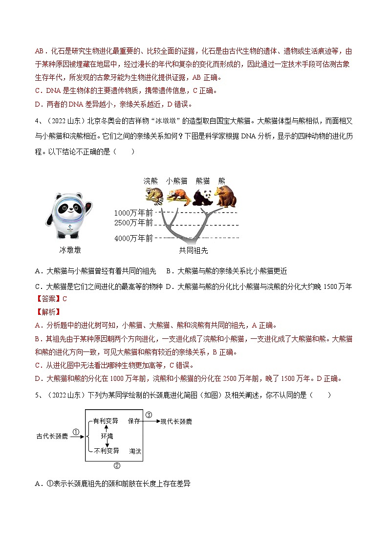 最新中考生物一轮复习课件+讲练测  专题21 生命起源和生物进化（专题精练）03