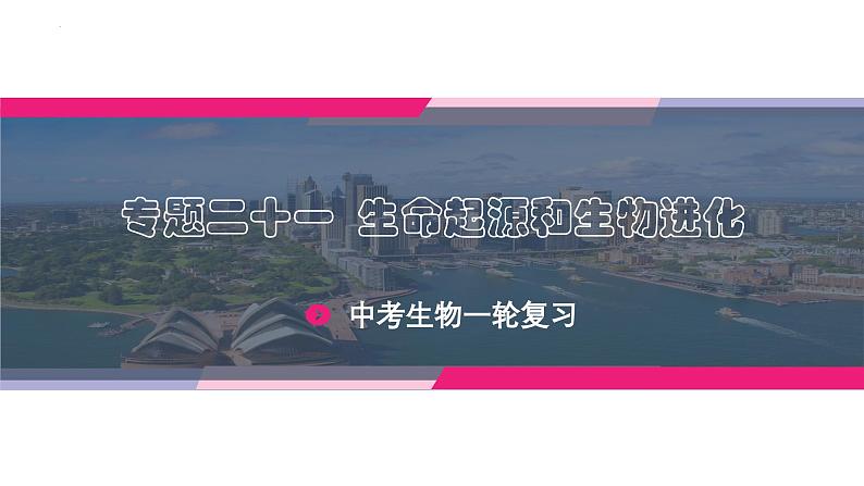 最新中考生物一轮复习课件+讲练测  专题21 生命起源和生物进化（专题精练）03