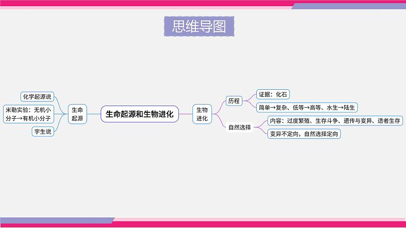 最新中考生物一轮复习课件+讲练测  专题21 生命起源和生物进化（专题精练）07