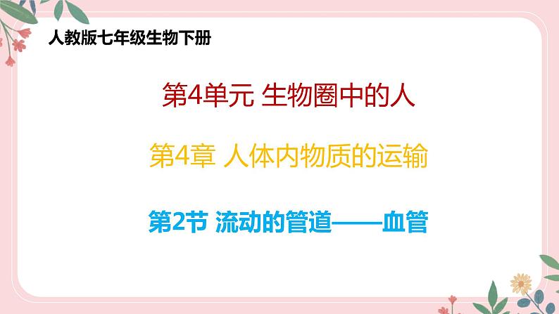 4.4.2 血流的管道——血管-七年级生物下册 教学课件+教学设计+练习（人教版）01