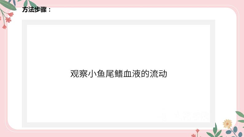 4.4.2 血流的管道——血管-七年级生物下册 教学课件+教学设计+练习（人教版）06