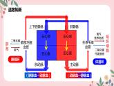 4.4.4 输血和血型-七年级生物下册 教学课件+教学设计+练习（人教版）