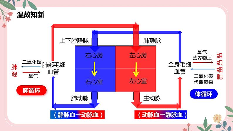 4.4.4 输血和血型-七年级生物下册 教学课件+教学设计+练习（人教版）03