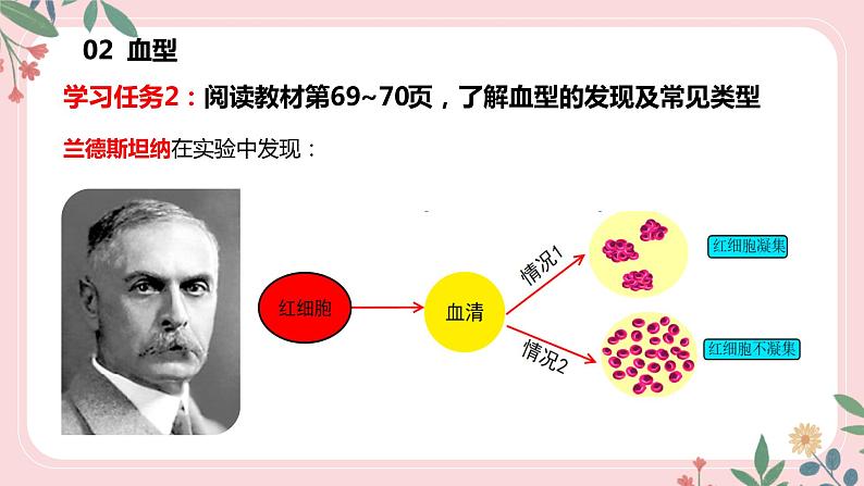 4.4.4 输血和血型-七年级生物下册 教学课件+教学设计+练习（人教版）06