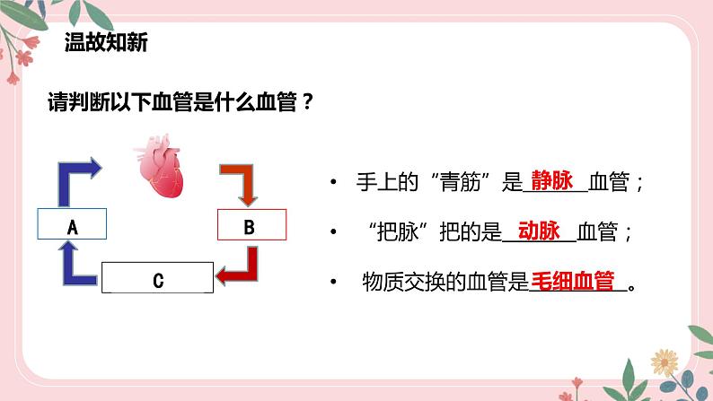 4.4.3 输送血液的泵——心脏（第1课时）-七年级生物下册 教学课件+教学设计+练习（人教版）03