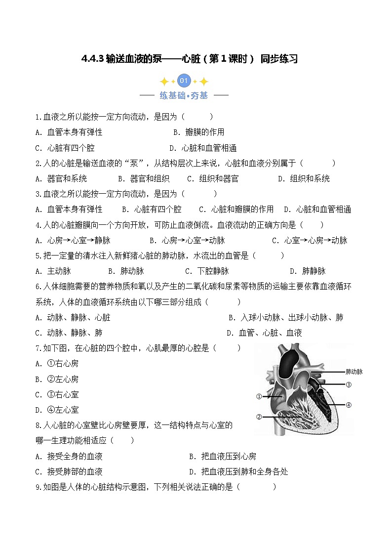 4.4.3 输送血液的泵——心脏（第1课时）-七年级生物下册 教学课件+教学设计+练习（人教版）01