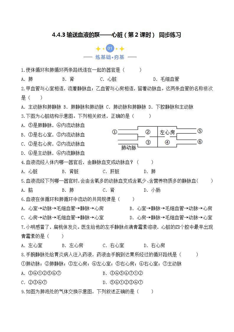 4.4.3 输送血液的泵——心脏（第2课时）-七年级生物下册 教学课件+教学设计+练习（人教版）01