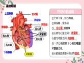 4.4.3 输送血液的泵——心脏（第2课时）-七年级生物下册 教学课件+教学设计+练习（人教版）