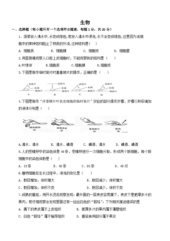 2024年江苏省宿迁市沭阳如东实验学校八年级中考一模生物试题01