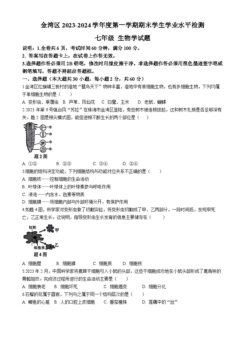 广东省珠海市金湾区2023-2024学年七年级上学期期末考试生物试题01