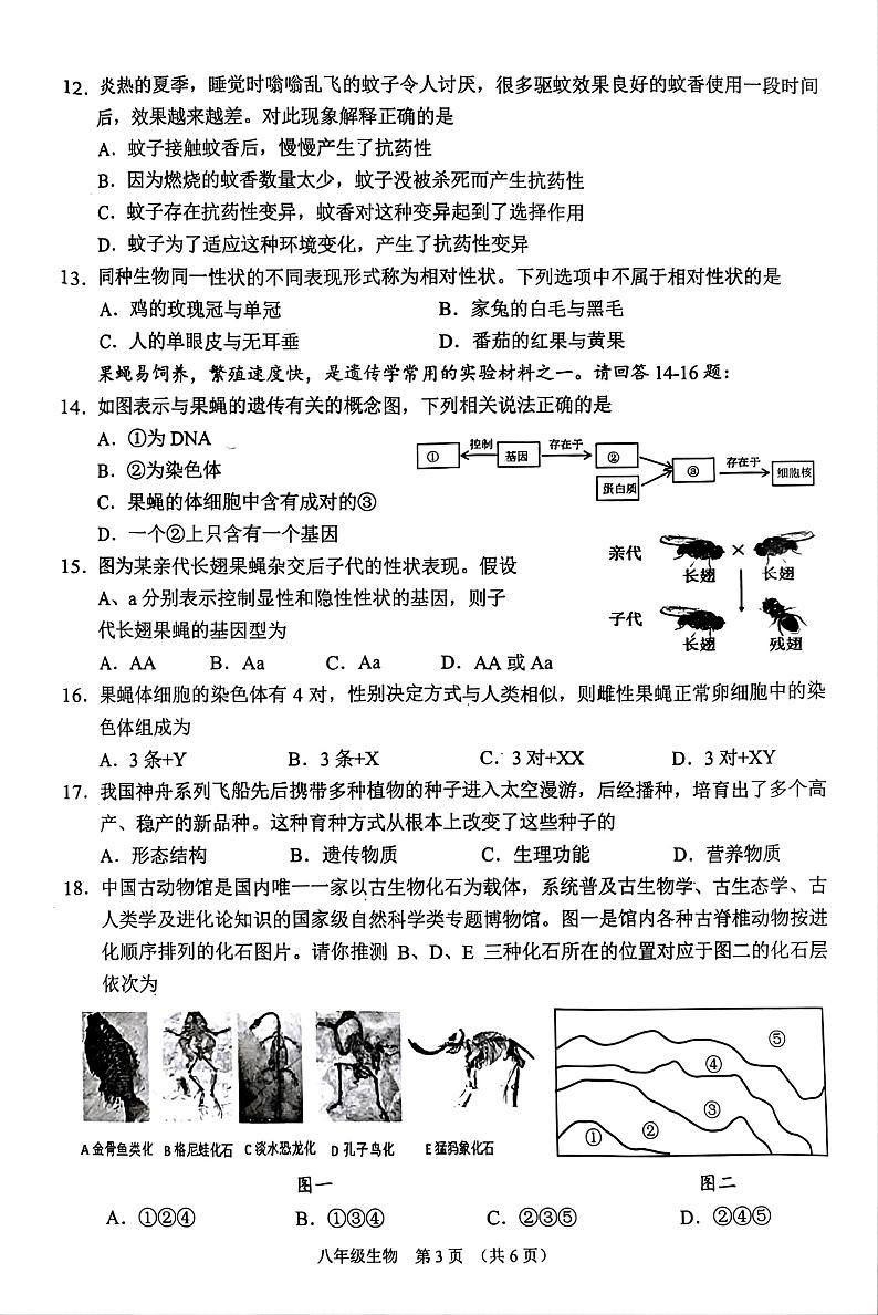 山西省晋中市平遥县2023-2024学年八年级下学期4月期中生物试题第3页
