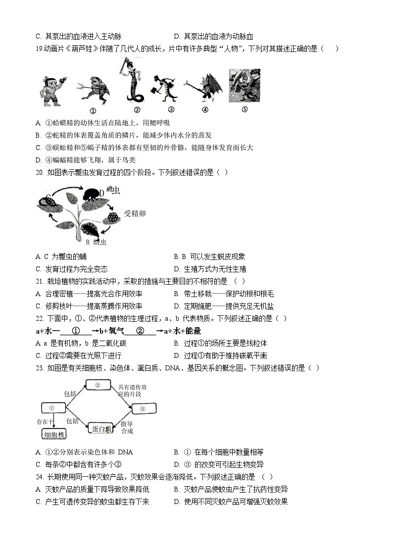 河北省石家庄市第四十中学2023-2024学年八年级下学期期中考试生物试题03