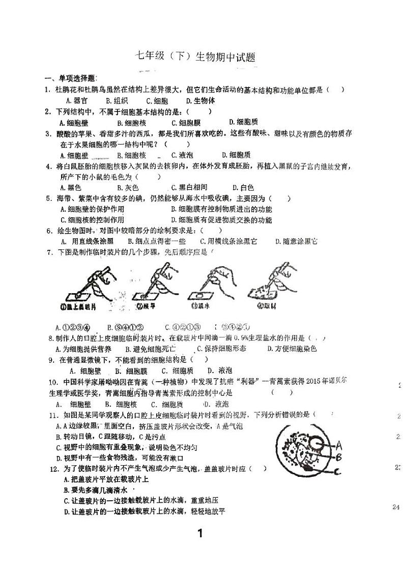 江苏省徐州市沛县第五中学2023-2024学年七年级下学期4月期中生物试题01