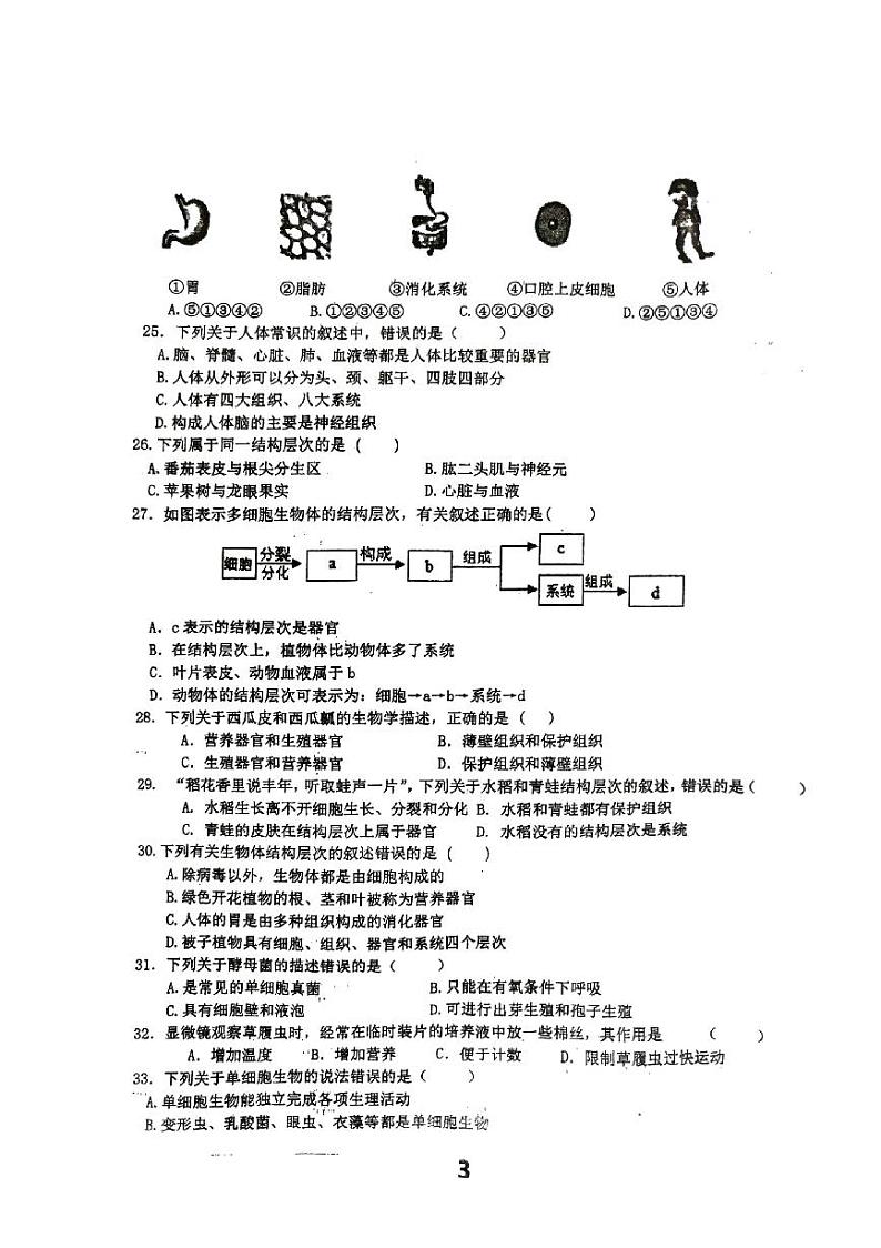 江苏省徐州市沛县第五中学2023-2024学年七年级下学期4月期中生物试题03
