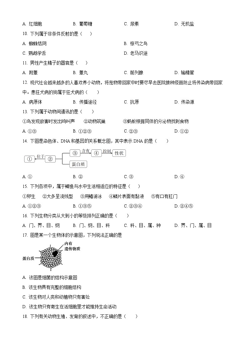 2024年甘肃省陇南市武都区两水镇中考一模生物试题（原卷版）第2页