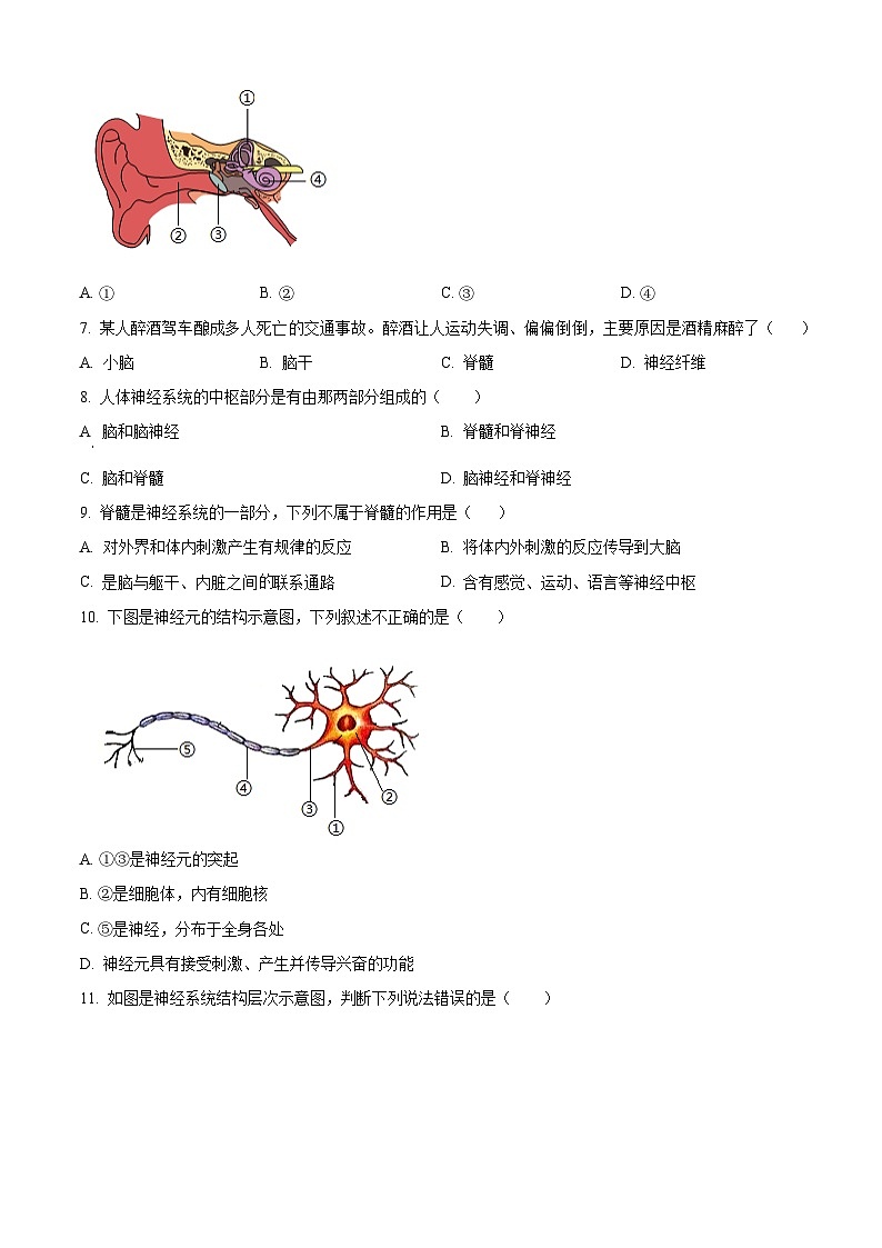 山东省泰安市新泰市宫里镇初级中学（五四制）2023-2024学年七年级下学期第一次月考生物试题（原卷版）第2页