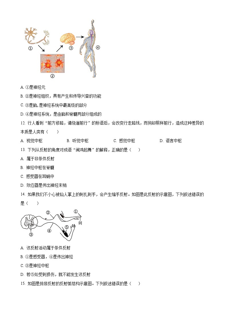 山东省泰安市新泰市宫里镇初级中学（五四制）2023-2024学年七年级下学期第一次月考生物试题（原卷版）第3页