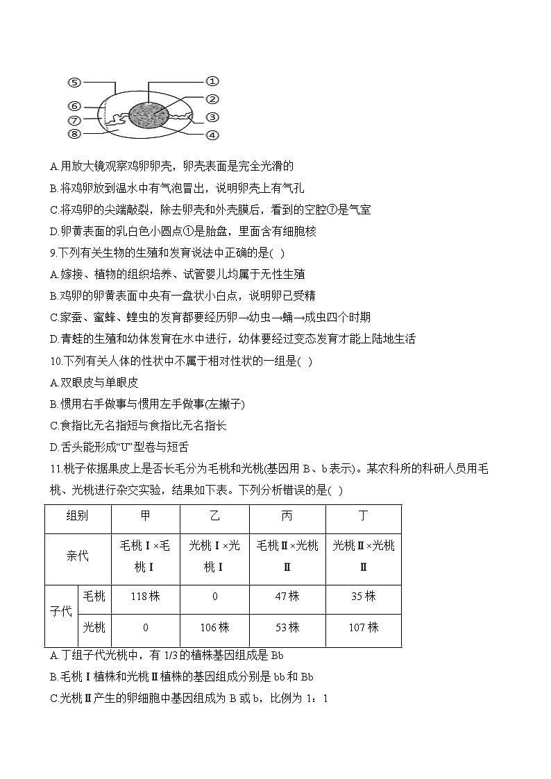 湖南省衡阳县大云中学2023-2024学年八年级下学期期中考试生物模拟卷03