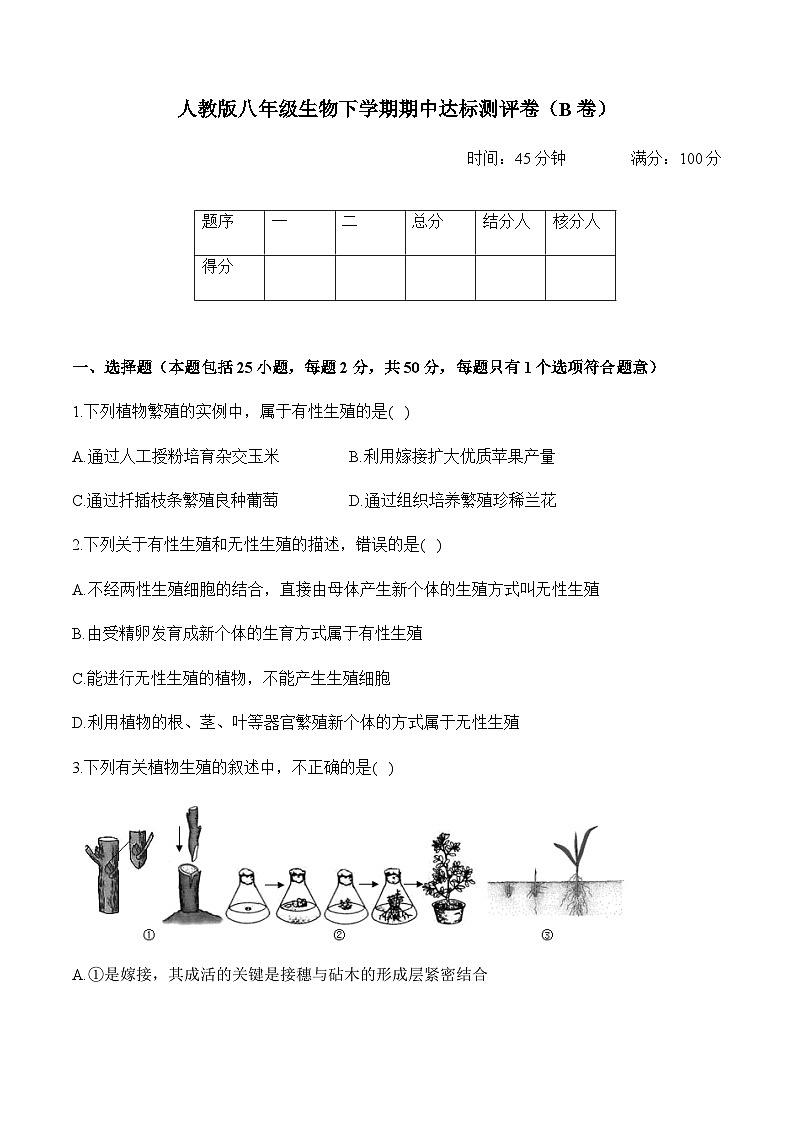 人教版八年级生物下学期期中达标测评卷（B卷）第1页