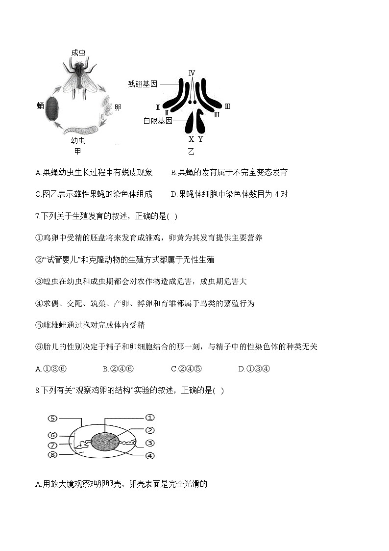 人教版八年级生物下学期期中达标测评卷（B卷）第3页