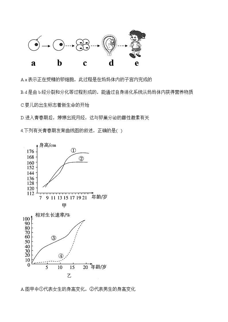 人教版七年级生物下学期期中达标测评卷（B卷）02