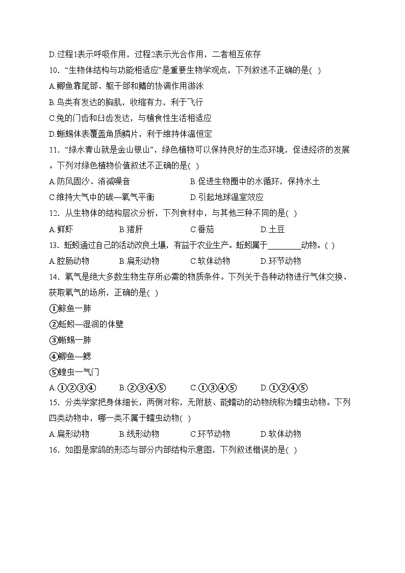山东省枣庄市台儿庄区2023-2024学年七年级上学期期末阶段性检测生物试卷(含答案)第3页