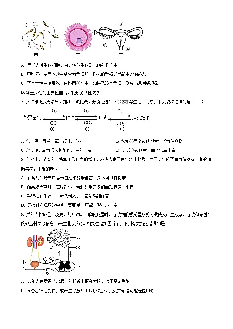 2024年甘肃省武威第四中学教研联片中考模拟一模生物试题（原卷版+解析版）02