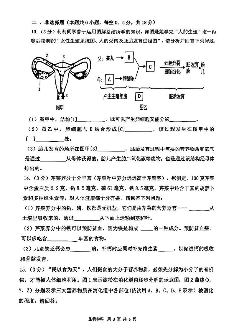 辽宁省沈阳市虹桥初级中学2023-2024学年七年级下学期4月月考生物试题第3页