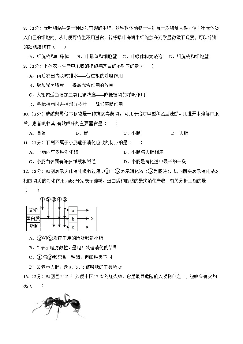 2024年甘肃省武威第十七中学九年级教研联片二模生物试题02