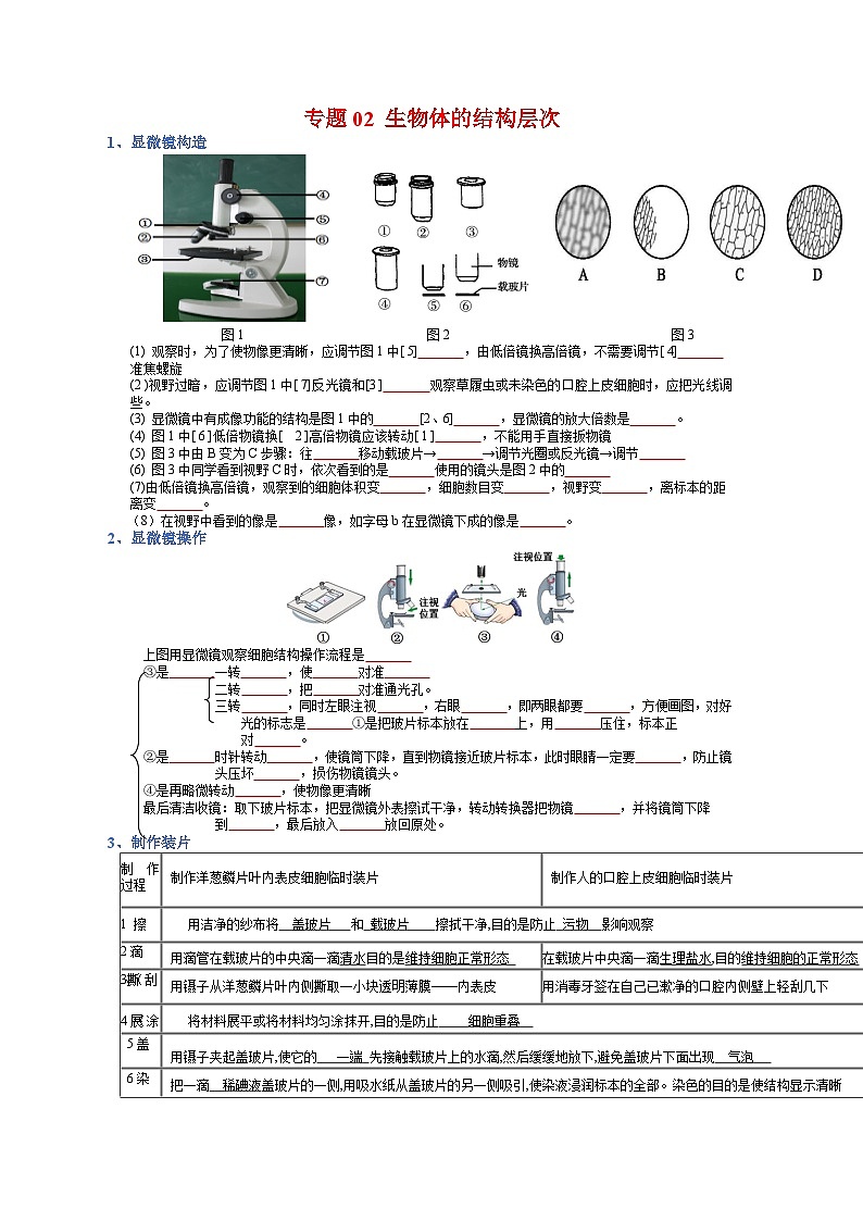 专题02 生物体的结构层次-【晨读晚默】2023年中考生物必背知识清单（填空版）第1页