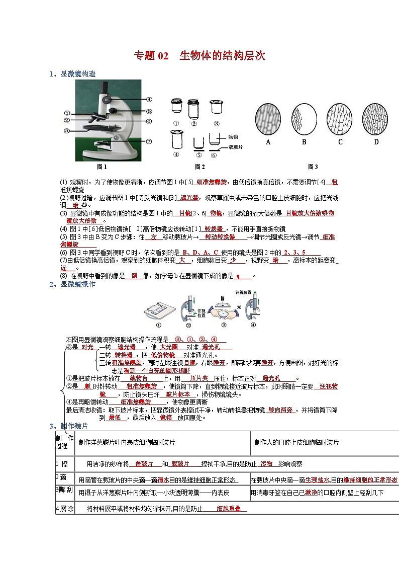 专题02 生物体的结构层次-【晨读晚默】2023年中考生物必背知识清单（答案版）第1页