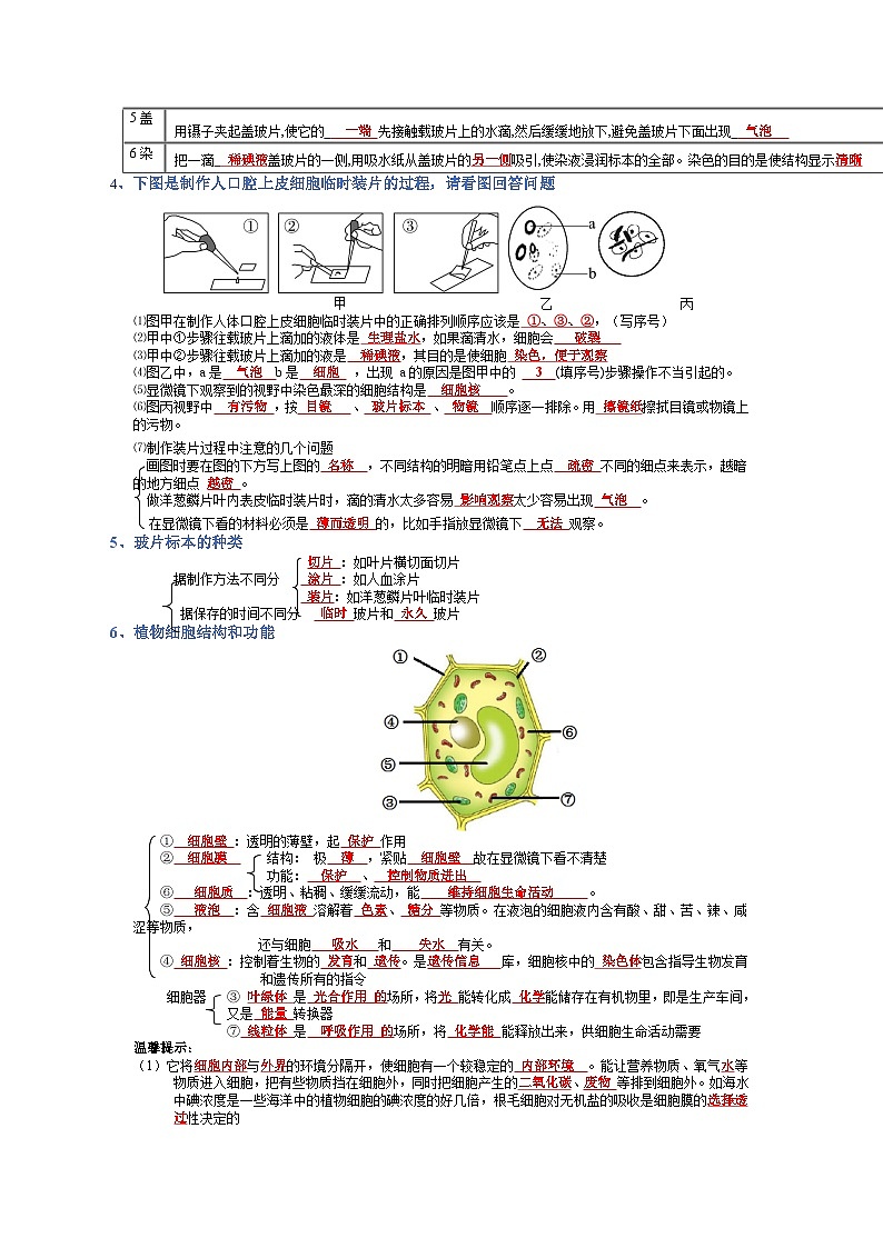 专题02 生物体的结构层次-【晨读晚默】2023年中考生物必背知识清单（答案版）第2页