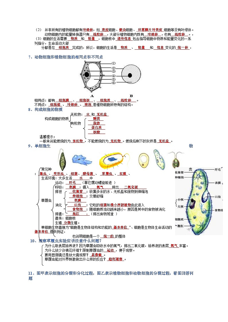 专题02 生物体的结构层次-【晨读晚默】2023年中考生物必背知识清单（答案版）第3页