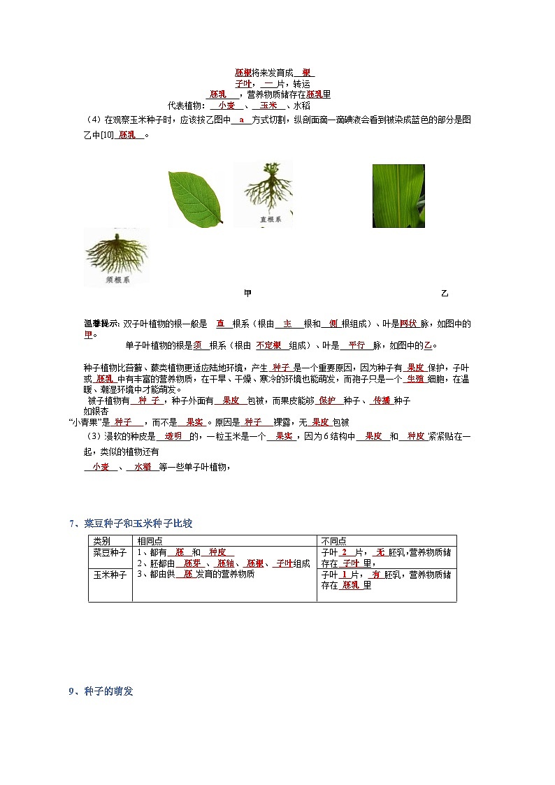 专题03 生物圈中的绿色植物-【晨读晚默】2023年中考生物必背知识清单(答案版)第2页