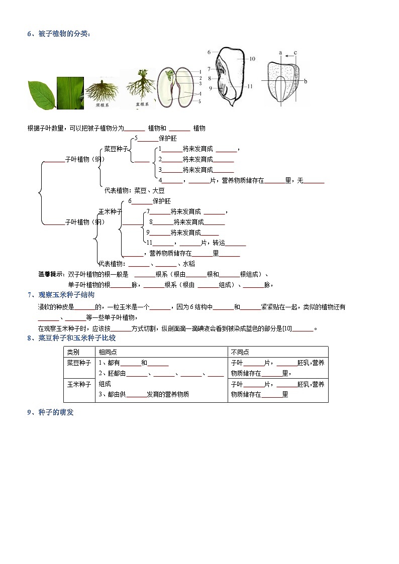 专题03 生物圈中的绿色植物-【晨读晚默】2023年中考生物必背知识清单（填空版）第2页