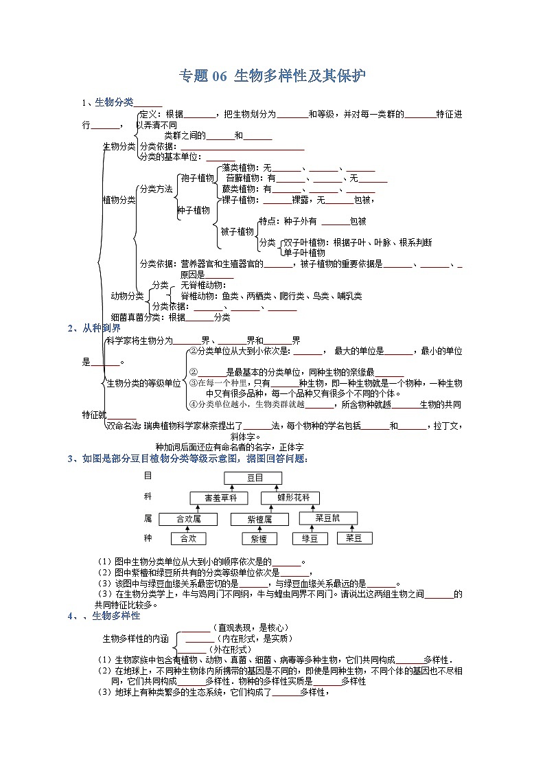 专题06 生物多样性及保护-【晨读晚默】2023年中考生物必背知识清单（填空版）第1页
