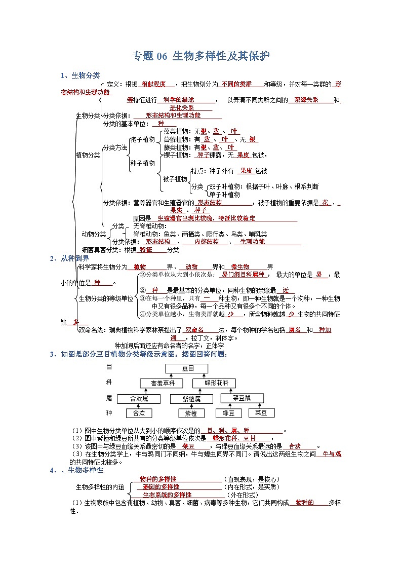 专题06 生物多样性及保护-【晨读晚默】2023年中考生物必背知识清单（答案版）第1页