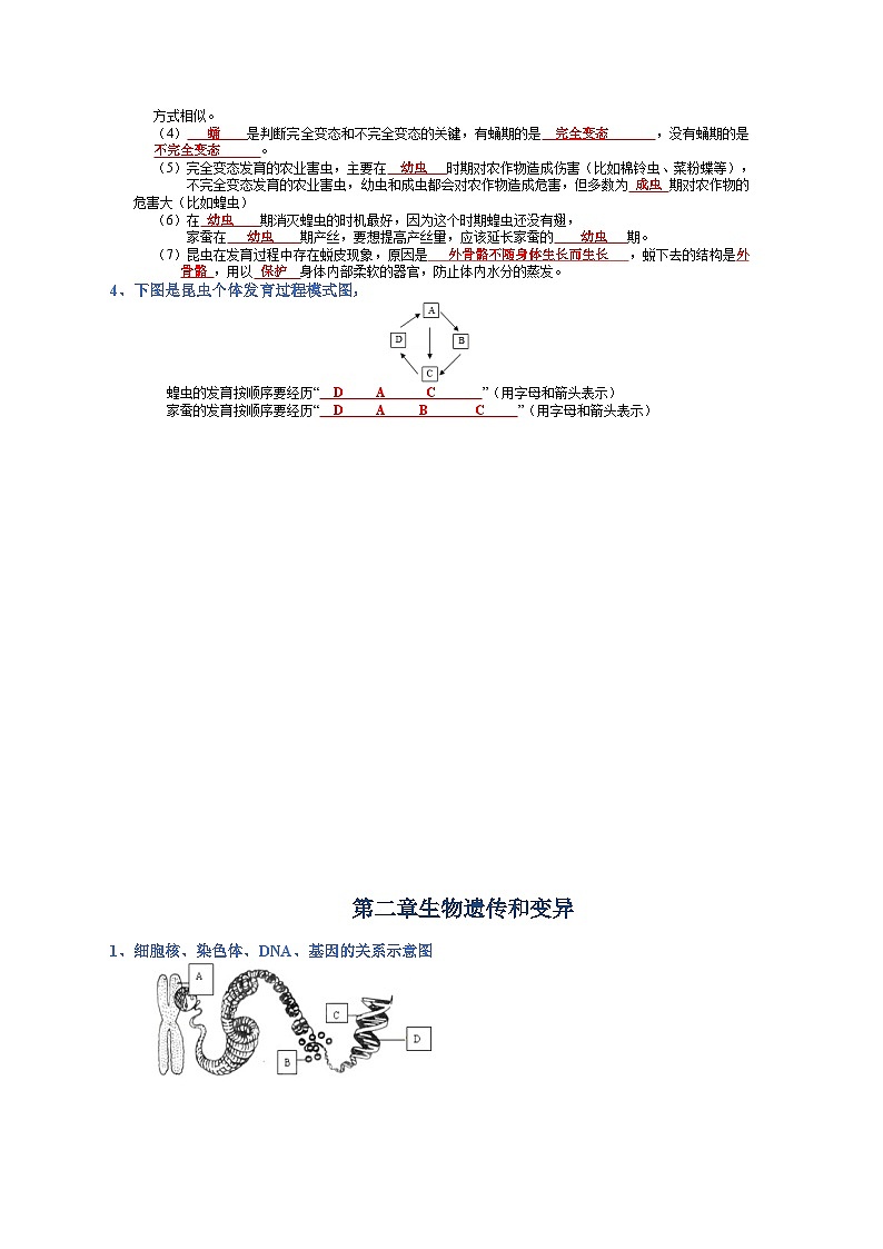 专题07 生物圈中生命的延续和发展-【晨读晚默】2023年中考生物必背知识清单（答案版）第2页