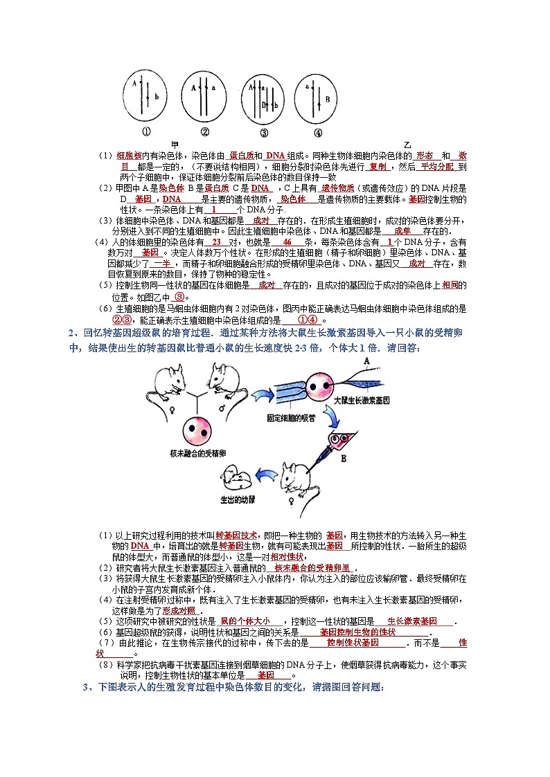 专题07 生物圈中生命的延续和发展-【晨读晚默】2023年中考生物必背知识清单（答案版）第3页