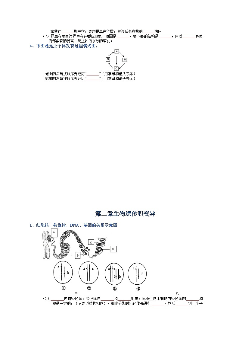 专题07 生物圈中生命的延续和发展-【晨读晚默】2023年中考生物必背知识清单（填空版）第2页