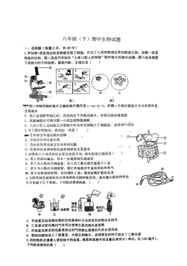 江苏省徐州市沛县沛县第五中学2023-2024学年八年级下学期4月期中生物试题01