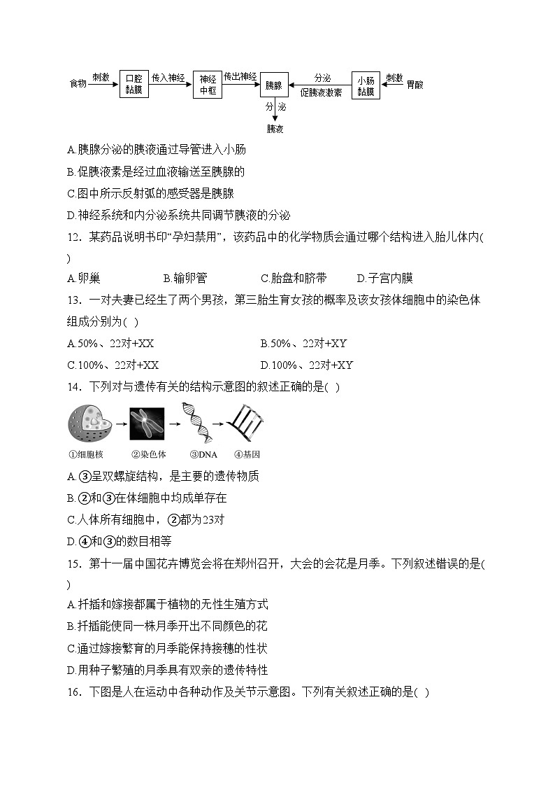 福建省龙岩市永定区2023年初中毕业班学业（升学）模拟考生物试卷(含答案)第3页