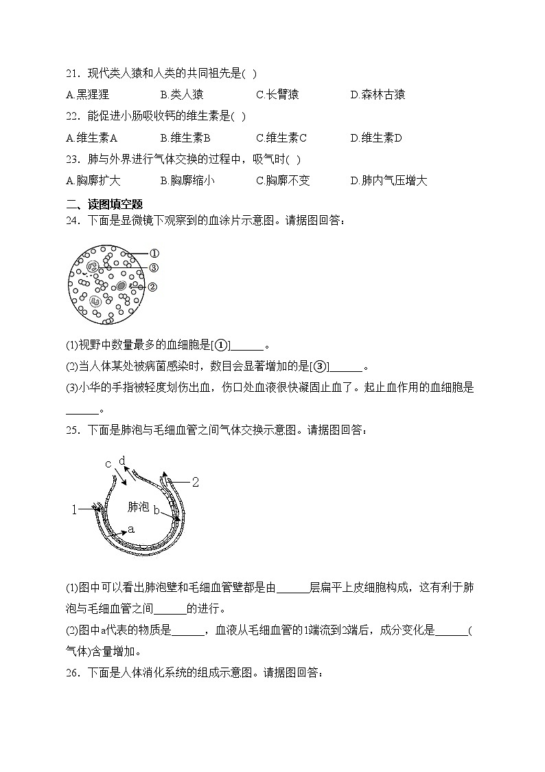天津市部分区2022-2023学年七年级下学期期中生物试卷(含答案)03
