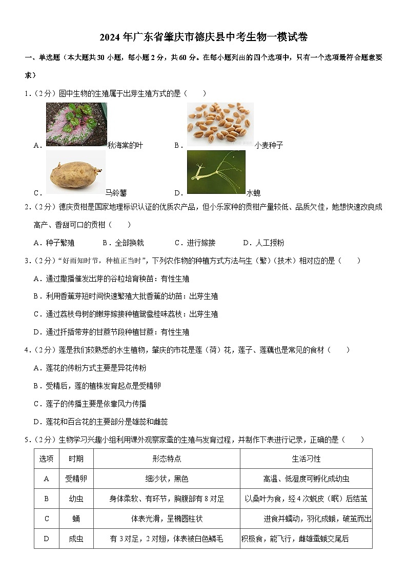 2024年广东省肇庆市德庆县中考生物一模试卷01