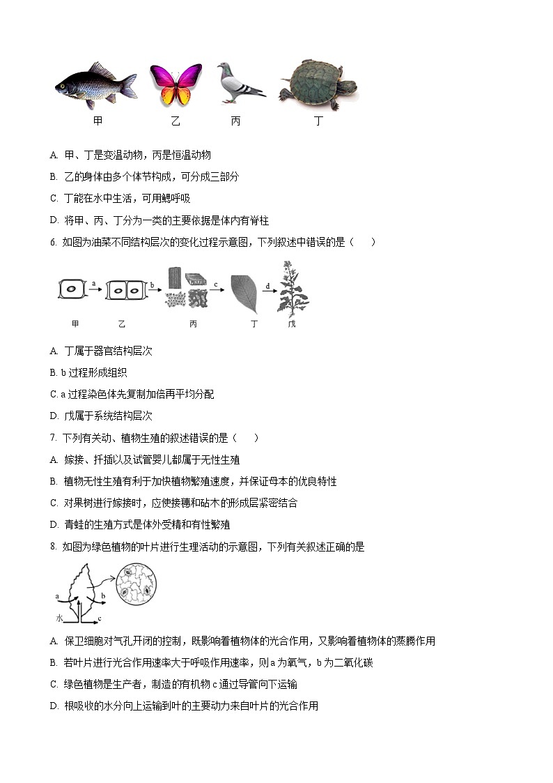 2023年西藏拉萨市柳梧初级中学九年级学业水平考试模拟生物试题（原卷版）第2页