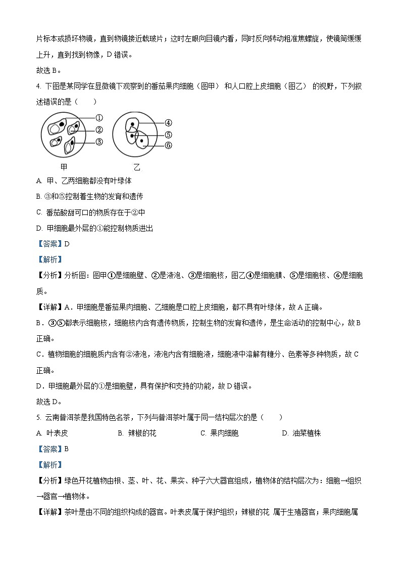 2024年云南省保山市中考一模生物试题（原卷版+解析版）03