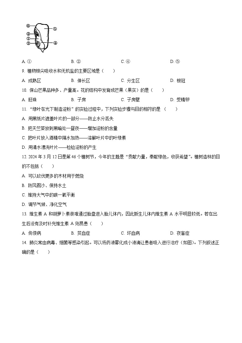 2024年云南省保山市中考一模生物试题（原卷版+解析版）03